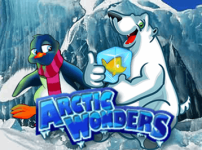 ARCTIC WONDERS 썸네일