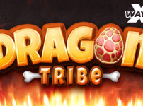 DRAGON TRIBE 썸네일