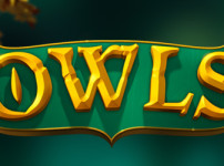 OWLS 썸네일